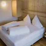 Hotel Handl 3*